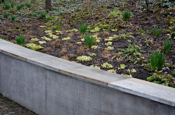 Concrete Wall Construction in Windsor