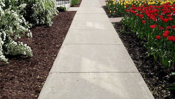 Cement Sidewalk Installation in Windsor
