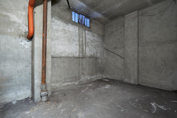 Basement Wall Construction in Windsor
