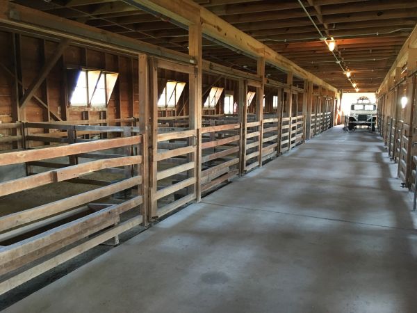 Barn Slab Construction in Windsor