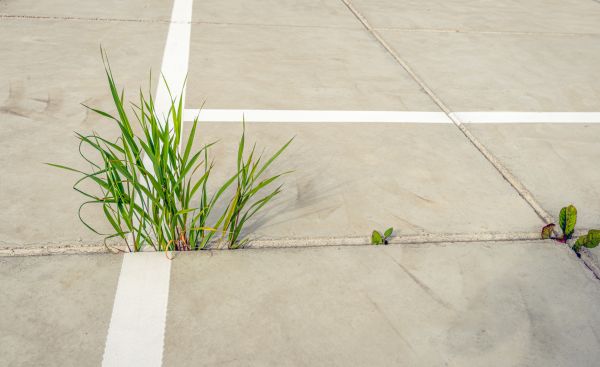 Concrete Parking Installation in Windsor
