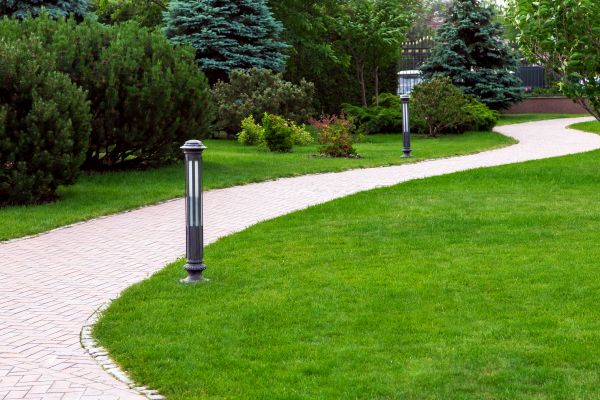 Backyard Sidewalk Installation in Windsor