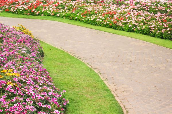 Concrete Walkway Service in Windsor